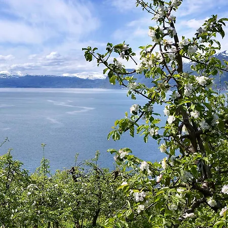 Hotel Hardanger 3*