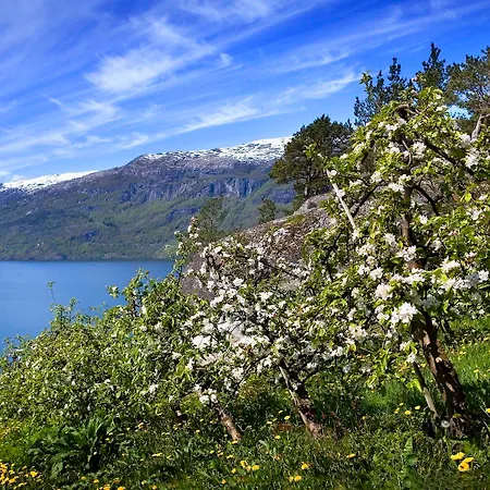 Hotel Hardanger Odda