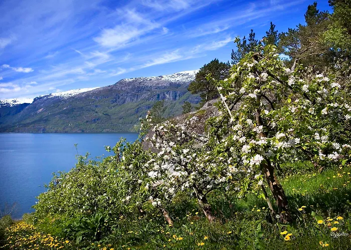 Hotel Hardanger Odda